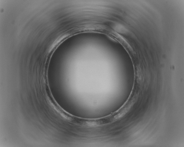 X0000076450794200610202333