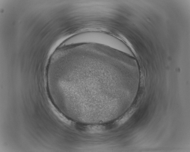 X0000076450795200610202333