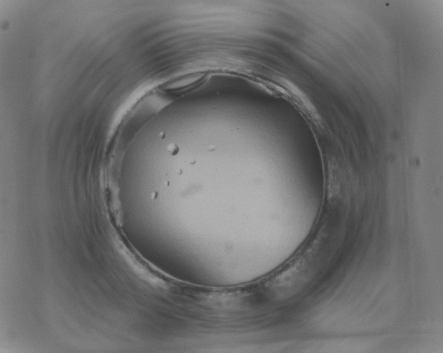 X0000076450796200610202333