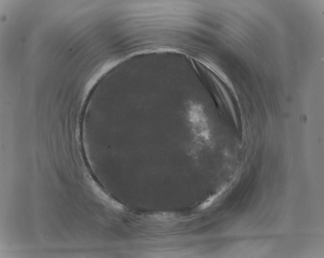 X0000076450797200610202333