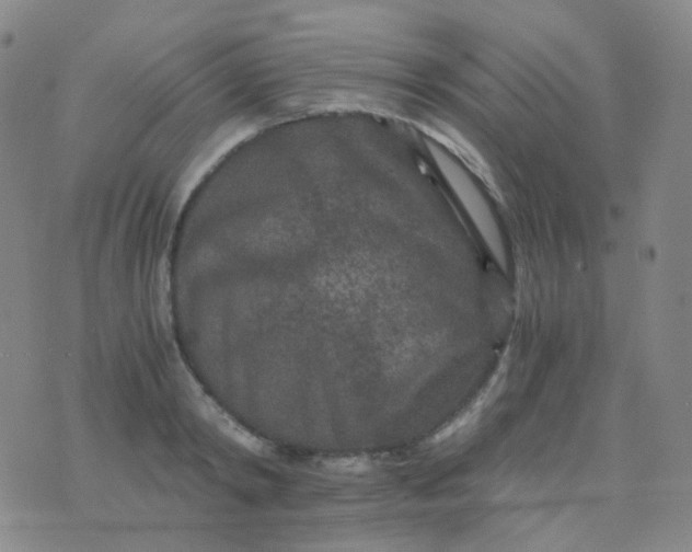 X0000076450798200610202333