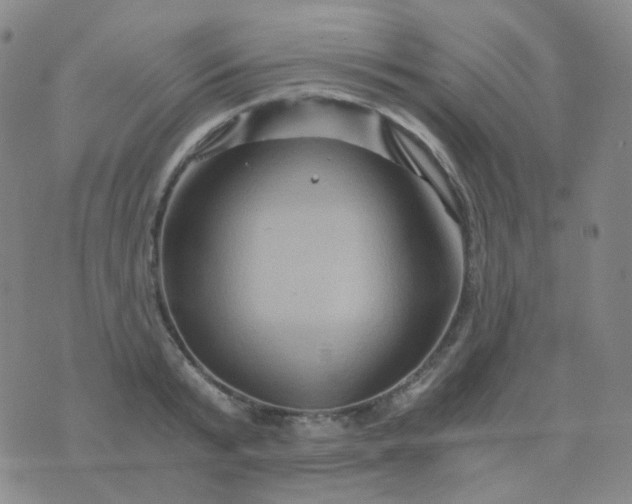 X0000076450799200610202333