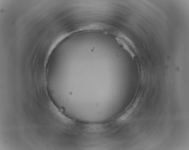 X0000076450800200610202333