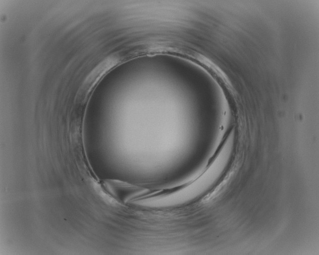 X0000076450801200610202333