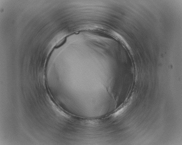 X0000076450802200610202333