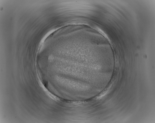 X0000076450803200610202333