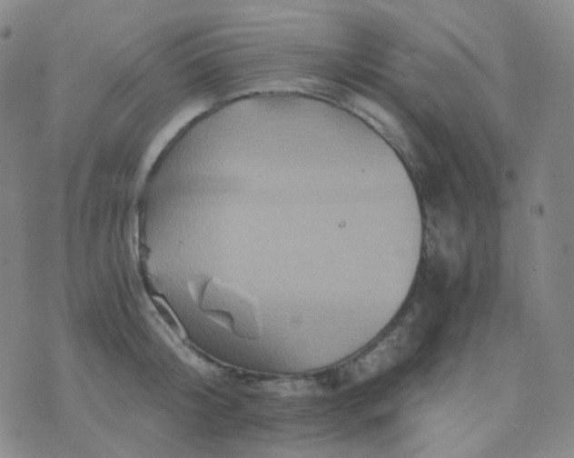 X0000076450804200610202333