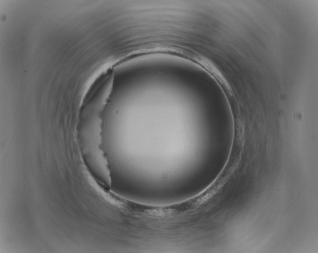 X0000076450805200610202333