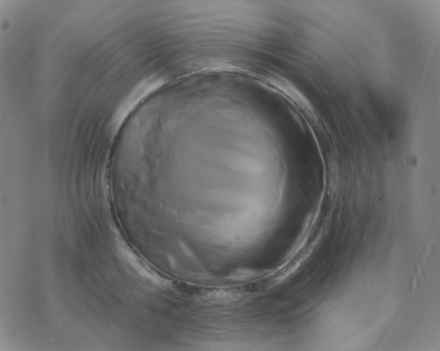 X0000076450806200610202333