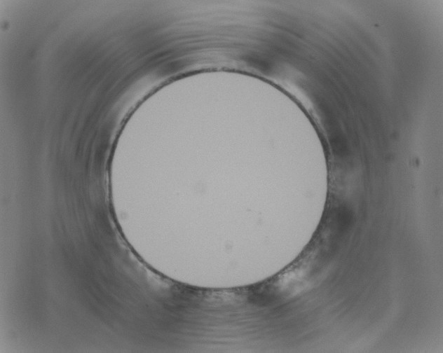 X0000076450807200610202333