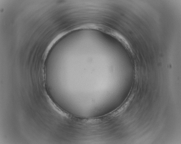 X0000076450808200610202333