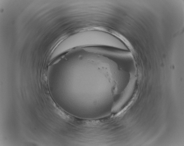 X0000076450809200610202333