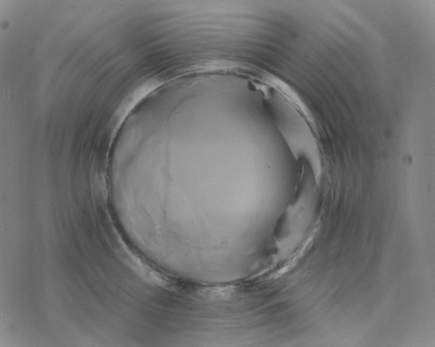 X0000076450810200610202333