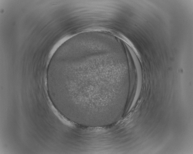 X0000076450811200610202333