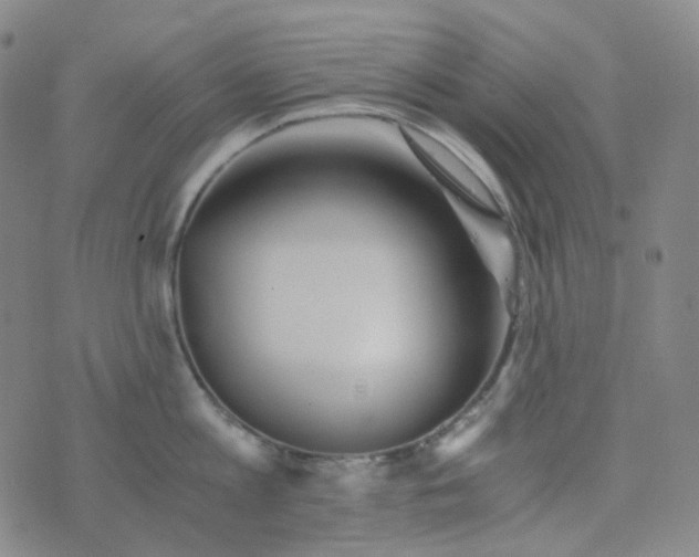 X0000076450813200610202333