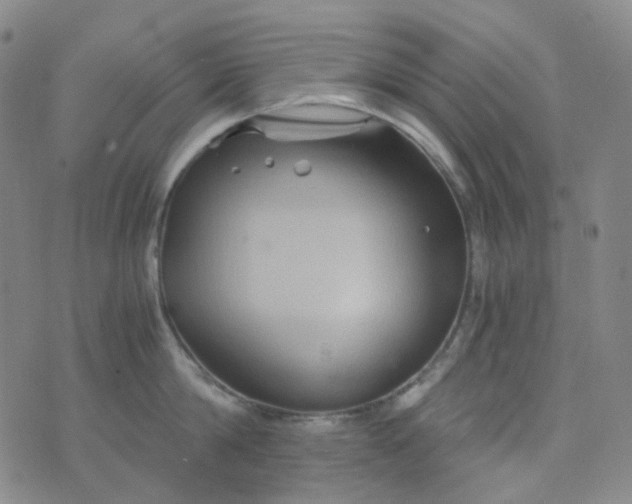 X0000076450814200610202333