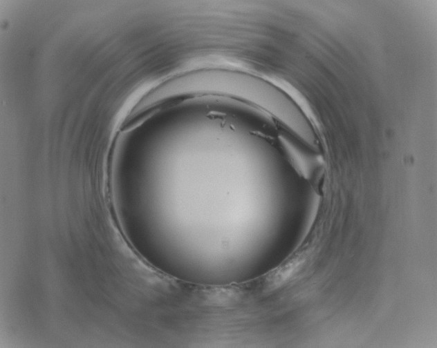 X0000076450815200610202333