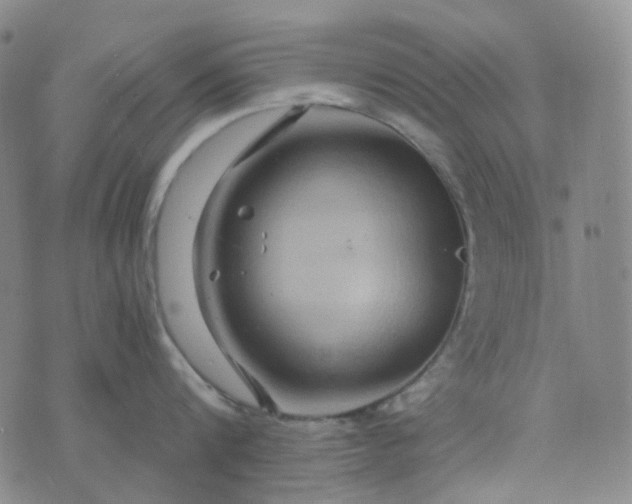 X0000076450816200610202333