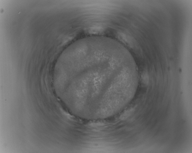 X0000076450817200610202332