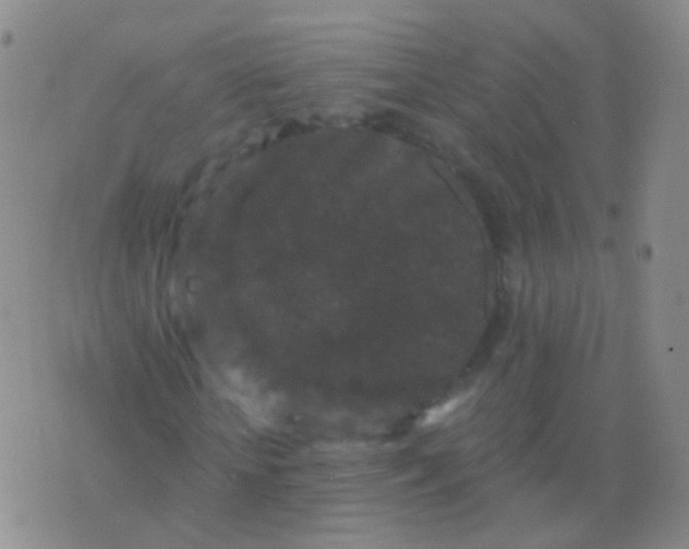 X0000076450818200610202332