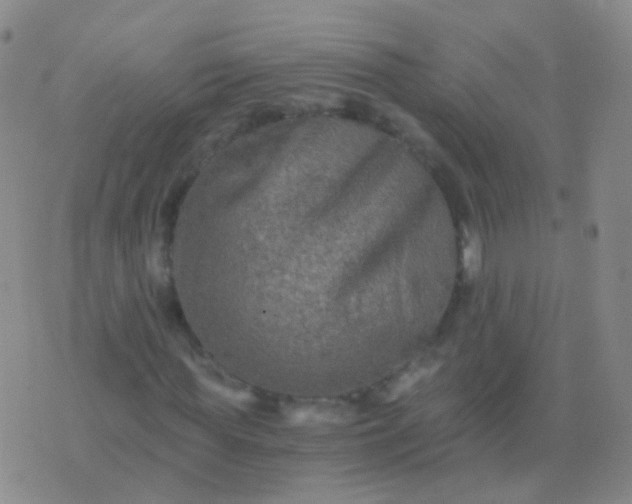 X0000076450819200610202332