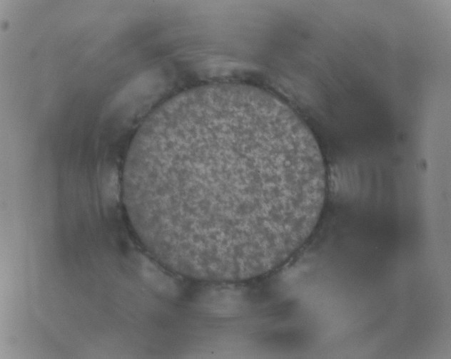 X0000076450820200610202332