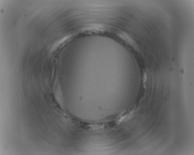 X0000076450822200610202332