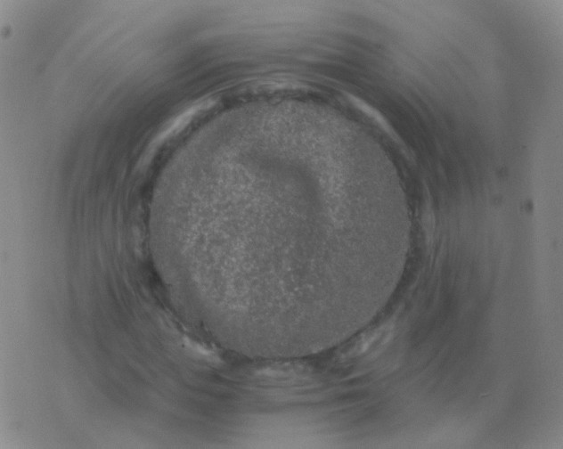 X0000076450823200610202332