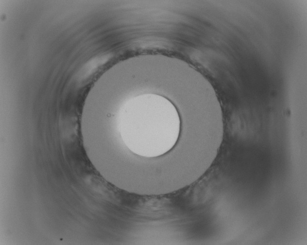 X0000076450824200610202332