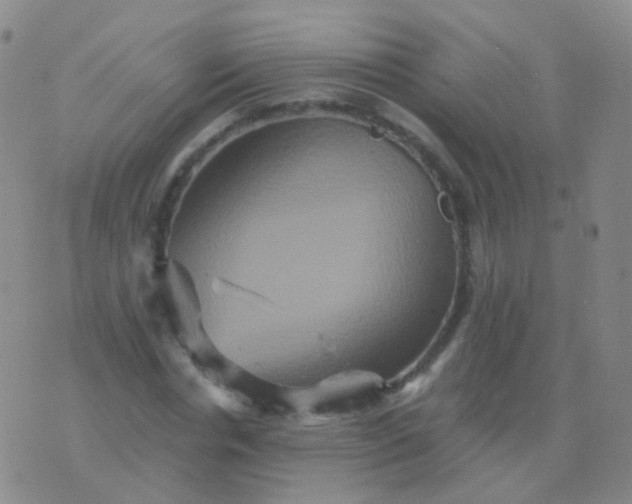 X0000076450826200610202332