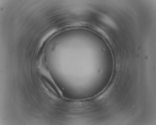 X0000076450827200610202332