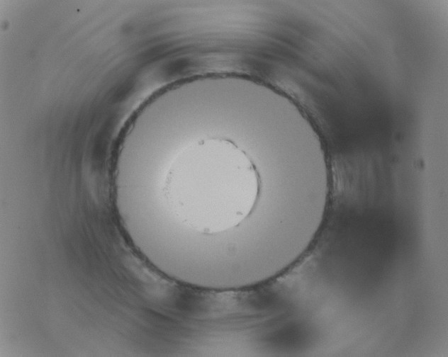 X0000076450828200610202332