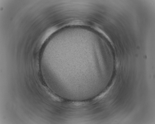 X0000076450829200610202332