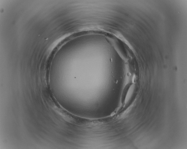 X0000076450830200610202332