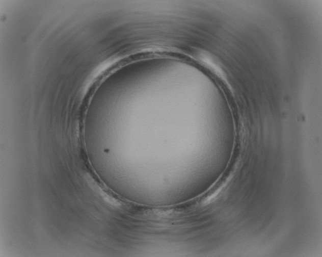 X0000076450831200610202332