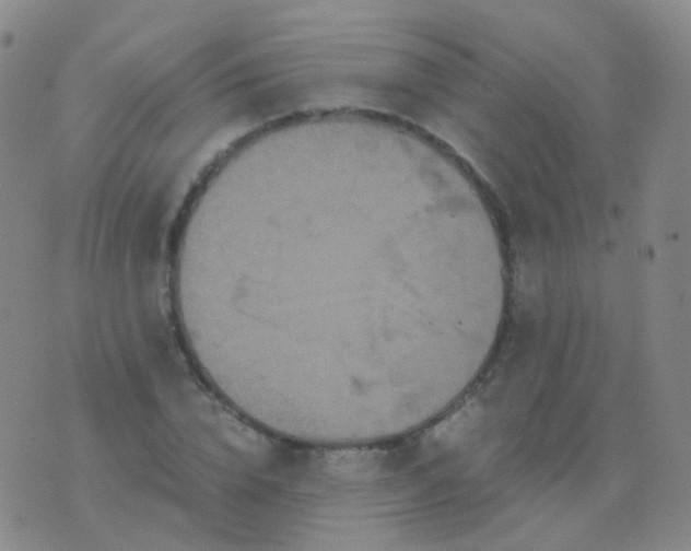 X0000076450832200610202332