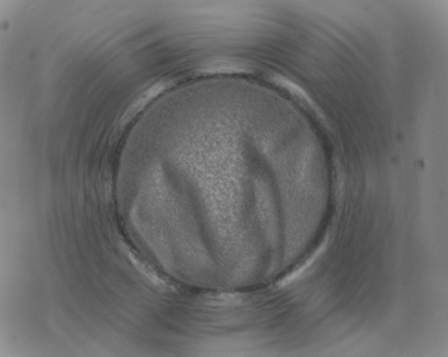 X0000076450833200610202333