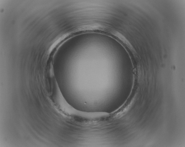 X0000076450834200610202333