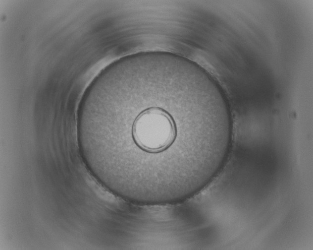 X0000076450836200610202333