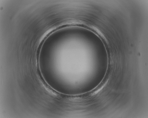 X0000076450837200610202333