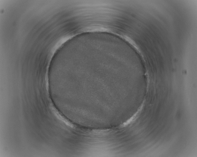 X0000076450840200610202333