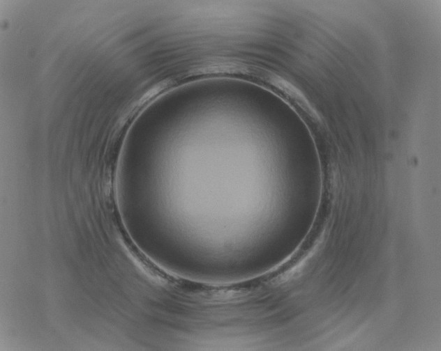 X0000076450841200610202333