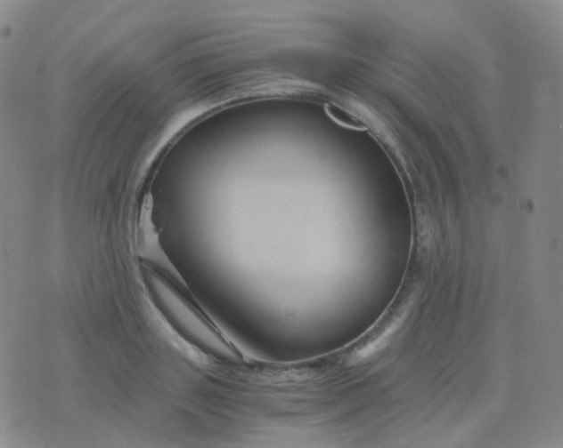 X0000076450843200610202333