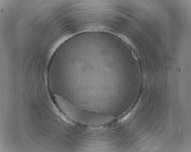 X0000076450846200610202333