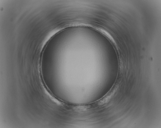 X0000076450847200610202333