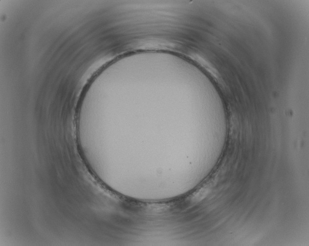 X0000076450848200610202333