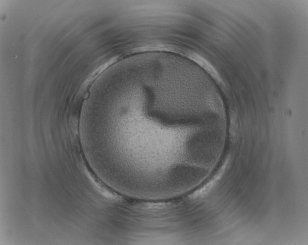 X0000076450849200610202333