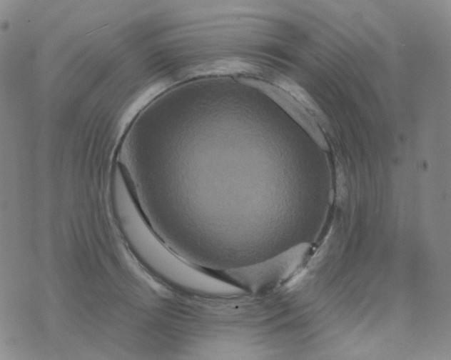 X0000076450850200610202333