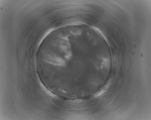 X0000076450851200610202333