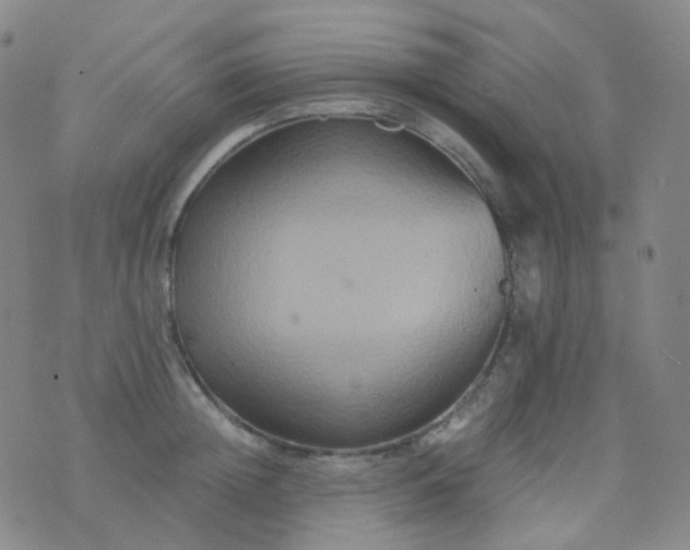 X0000076450852200610202333